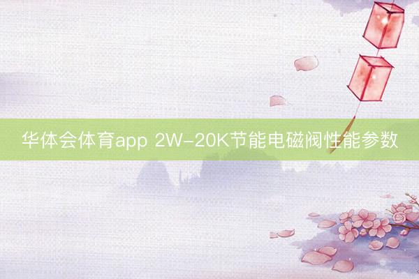 华体会体育app 2W-20K节能电磁阀性能参数