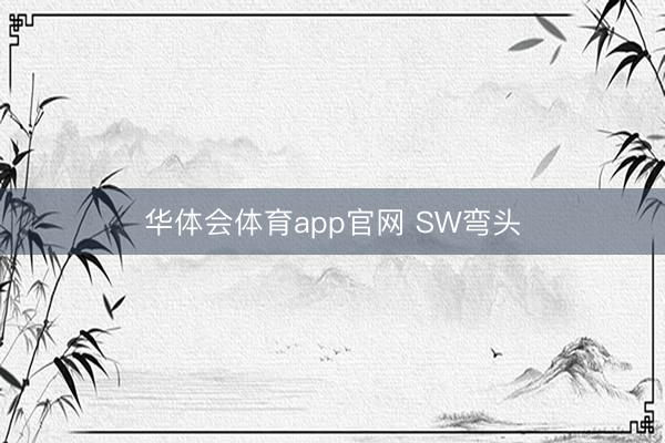 华体会体育app官网 SW弯头