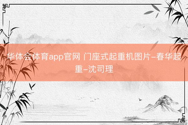 华体会体育app官网 门座式起重机图片-春华起重-沈司理