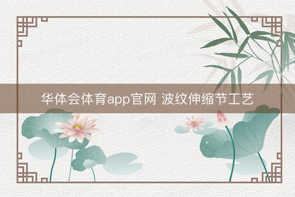 华体会体育app官网 波纹伸缩节工艺