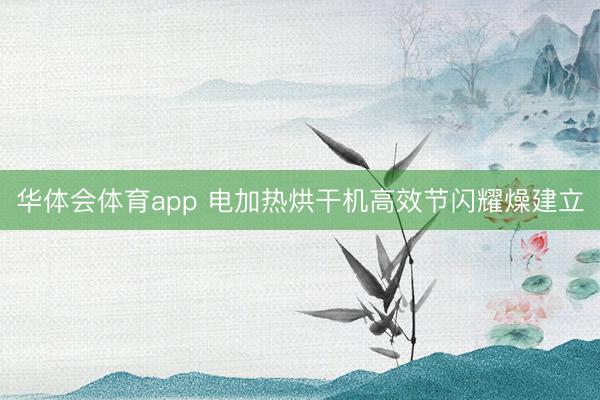 华体会体育app 电加热烘干机高效节闪耀燥建立