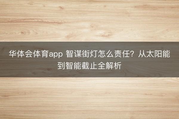 华体会体育app 智谋街灯怎么责任？从太阳能到智能截止全解析