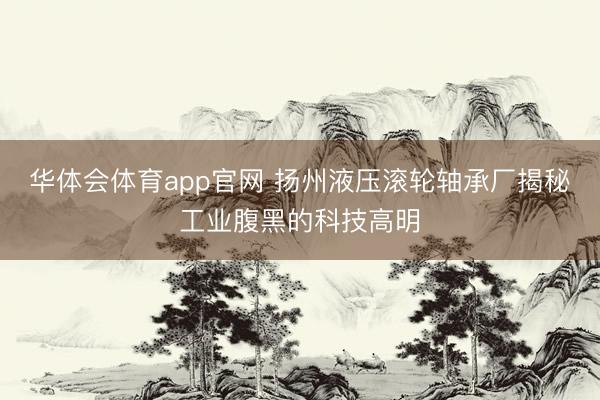 华体会体育app官网 扬州液压滚轮轴承厂揭秘工业腹黑的科技高明